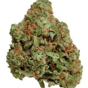 BUY BLUEBERRY SEAGAL