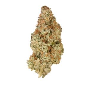 BUY BC ORGANIC PINK DRIP LTO