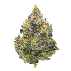 Buy Zkittles x Mochi Indoor