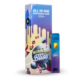 Hit Stick - 2G THCa Blueberry Bliss - Indica