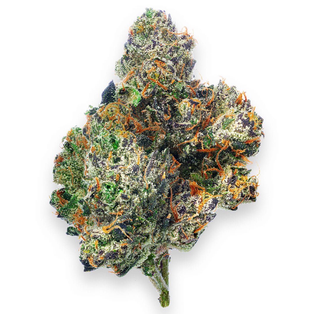 Boutique Exotics Obama Runtz - 28 Grams - Hybrid - Image 6