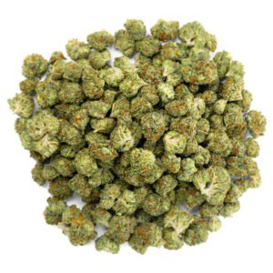 Gelato 41 - 28 Grams - Hybrid