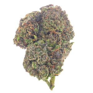 Biscotti Cake - 28 Grams - Hybrid