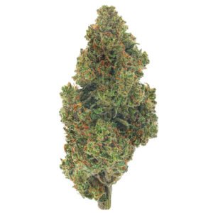 Jack Herer - 14 Grams - Sativa